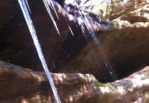 Ice on the Sheltowee Trace - 5